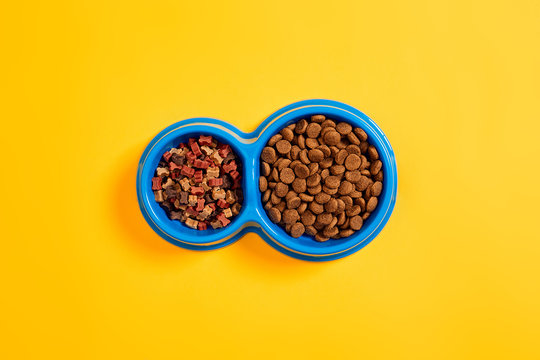 Dry Pet Food In Bowl On Yellow Background Top View