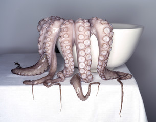Fresh octopus in a kitchen, in white porcelain oval bowl
