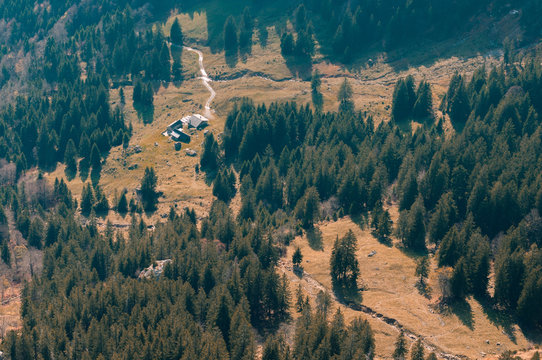 cabin in the forest from above