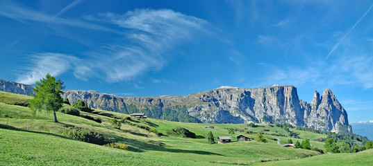auf der Seiser Alm mit Blick auf den Schlern,Südtirol,Italien