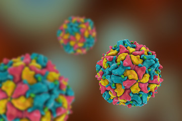 Poliovirus, 3D illustration. The virus transmitted by water and causes poliomyelitis