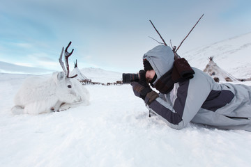 A young photographer shoots a white and cute deer lying on the snow. Very cold. Russia, Siberia,...
