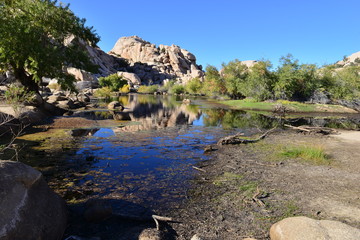 The Dam at the Joshua Tree National park