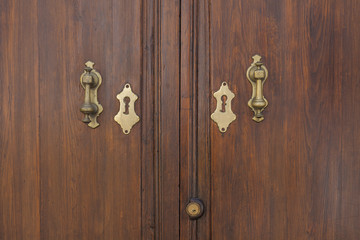 Golden door knockers of an old door in Spain