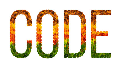 word Code written with leaves white isolated background, banner for printing, creative illustration of colored leaves.