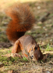 L'hiver sera long!dons faisons des r&eacute;serves!