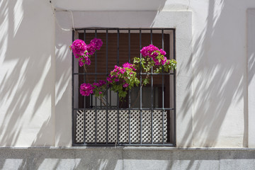 Window grate on rustic facade with flowers