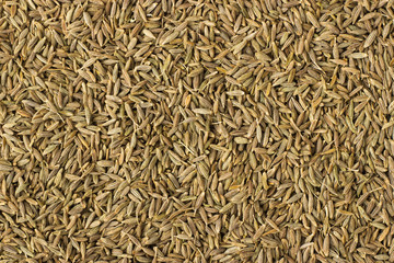zira spice as a background, natural seasoning texture