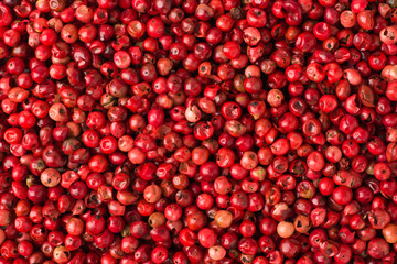 pink peppercorn spice as a background, natural seasoning texture