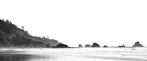 Oregon Coast against a white background