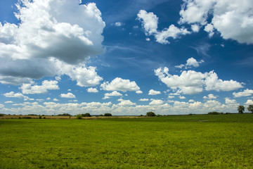 Large green meadow and clouds in the sky