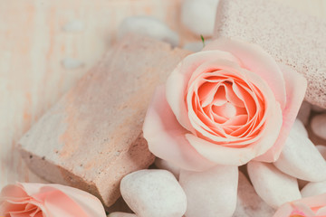 Spa settings with roses. Various items used in spa treatments on white wooden background.