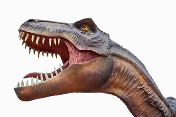 Tyrannosaurus Rex, Dinosaur, Animal Head, Animal Teeth, One Animal