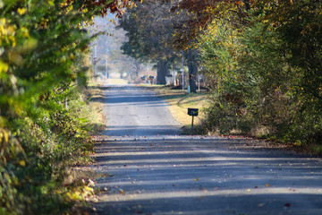 Country road in the fall with leaves blowing across the road and mailboxes - selective focus