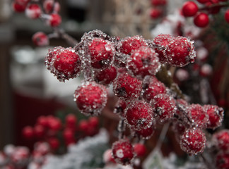 Christmas Berries Ornament