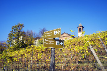 Grinzane Cavour (Piedmont, Italy): the Barolo vineyards autumn. Color image
