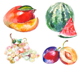 Naklejka premium Watercolor fruits isolated on white