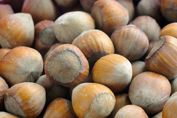 Hazelnut background. Fresh harvested organic hazelnuts close-up