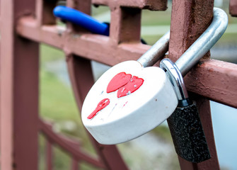 Heart shaped padlock. Locks of lovers on the bridge. Wedding Locks on bridge. Love padlocks.