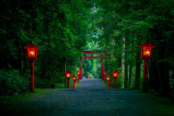 Obraz premium The night view of the approach to the Hakone shrine in a cedar forest. With many red lantern lighted up and a great red torii gate