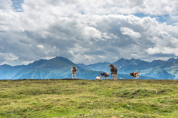 Simmering mountain in Austria