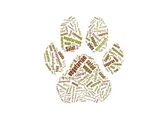 vegan word cloud with vegetarian related words in a lot of different languages