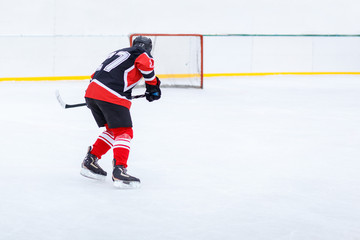 Ice hockey skater with stick on rink.