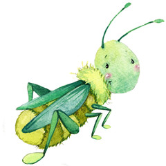 Cartoon insect watercolor illustration.
