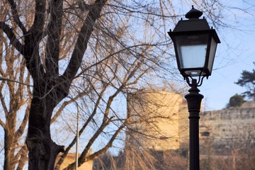 Fototapeta na wymiar old street lamp on bare trees. Selective focus.