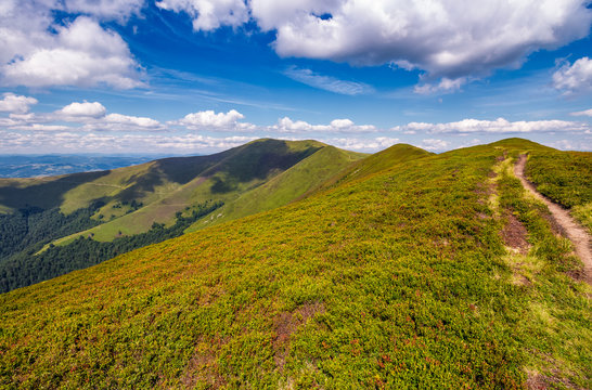 path on top of Carpathian mountain ridge