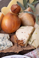 Various types of cheese on the table