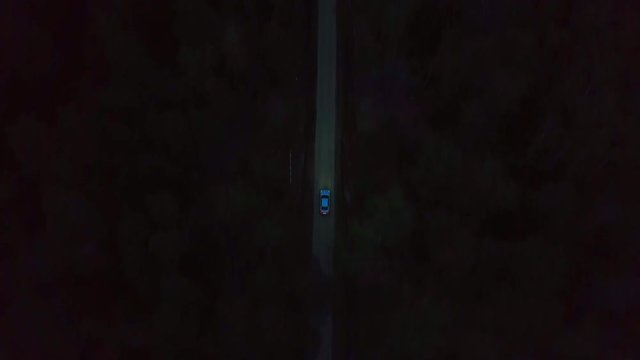 White car Cadillac Cts driving on forest. Aerial top view