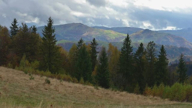 Beauty fog in carpathian mountaine