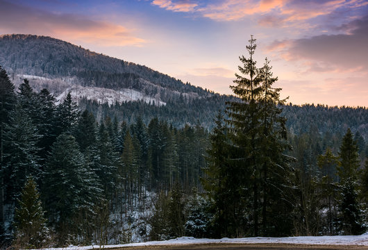 forested mountain at winter sunset
