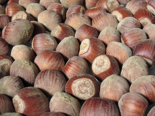 Autumn fruit . Closeup of hazelnuts . Food background
