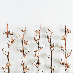 Minimal raw cotton branches on white background. Flat lay, top view.