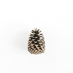 Pine cone on white background. Minimal flat lay.