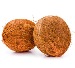 close up of close up of whole coconuts fruit isolated on white background. coco fruit, product or package design element