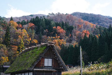 Shirakawa-go in Autumn