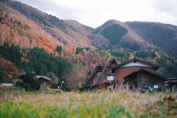 Shirakawa-go in Autumn