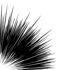 Obraz premium Schraffur2011a