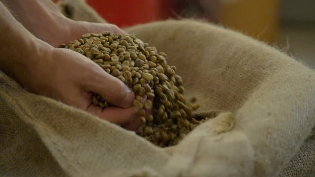 Green coffee beans are in a bag. Slow motion.
