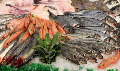 étalage de poissons