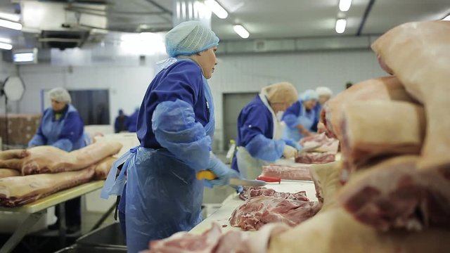 The meat factory is preparing fresh meat for delivery to stores.