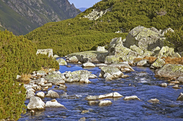 Roztoka river at  Valley of Five Lakes near Zakopane. Poland