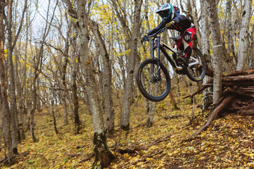 Fototapeta na wymiar a young rider at the wheel of his mountain bike makes a trick in jumping on the springboard of the downhill mountain path in the autumn forest