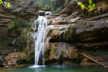 Fototapeta premium Pure mountain creek with green water