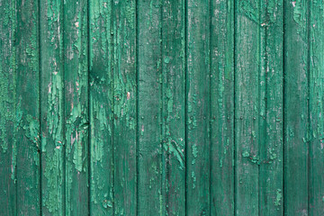 Fototapeta na wymiar Old green wooden texture background. Vertical wood planks