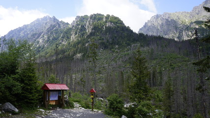 Tatrzańska dolina © Szymon