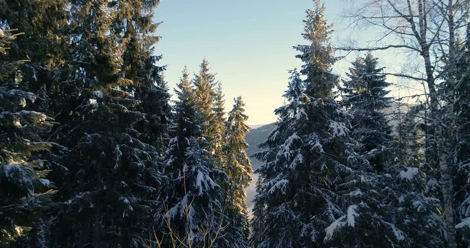 drone in a wintery wonderland.